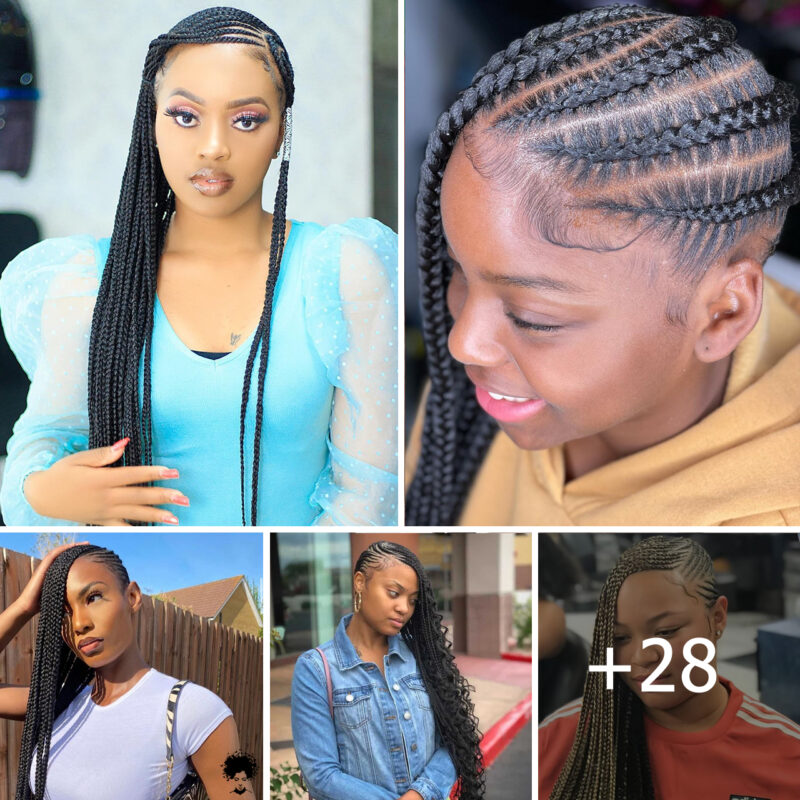 Lemonade Braids Styles For 2024 – Hairstyles for Women